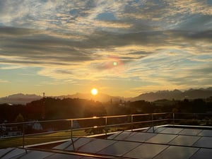 Dinotronic Büro Morgen Sonnenaufgang 2024 50%